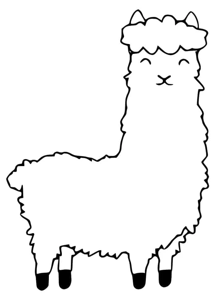 Dibujo de Alpaca de pie con un pelaje esponjoso para colorear