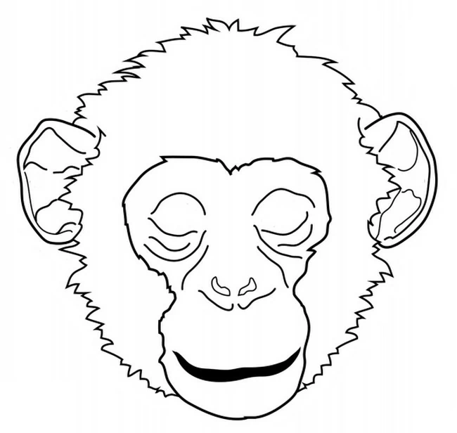 Dibujo de Chimpancé rostro de frente para colorear