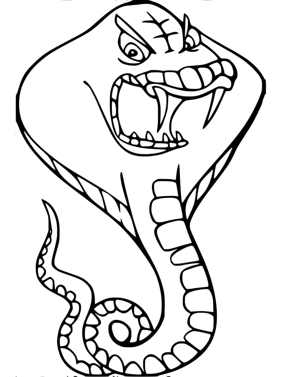 Dibujo de Cobra con expresión furiosa para colorear