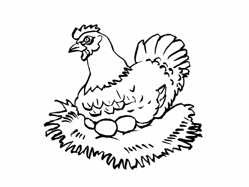 Dibujo de Gallina empollando sus huevos en el nido para colorear Dibujo de Gallina empollando sus huevos en el nido para colorear