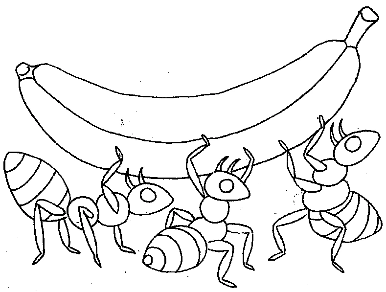 Dibujo de Hormigas cargando un plátano gigante para colorear Dibujo de Hormigas cargando un plátano gigante para colorear
