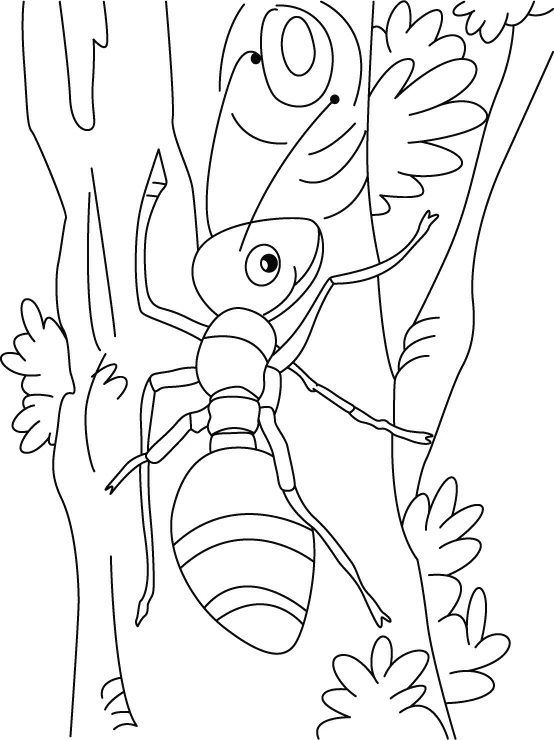 Dibujo de Hormiga trepando por un tronco para colorear
