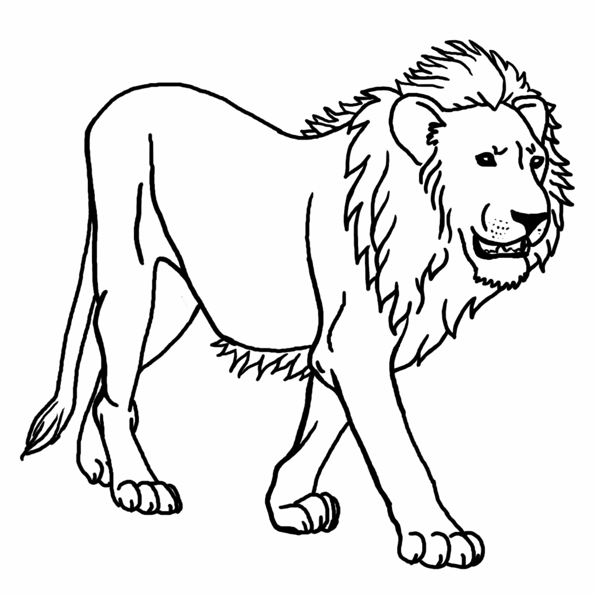 Dibujo de León caminando con una melena abundante para colorear