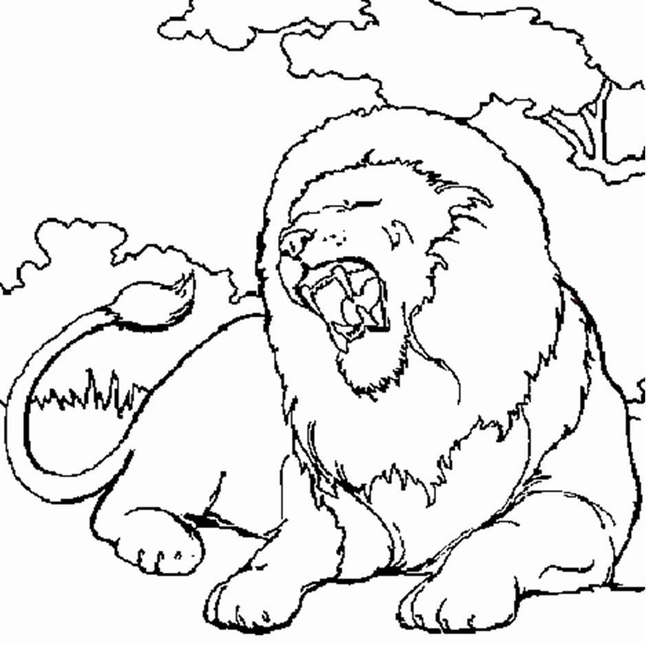 Dibujo de León rugiendo bajo un árbol para colorear