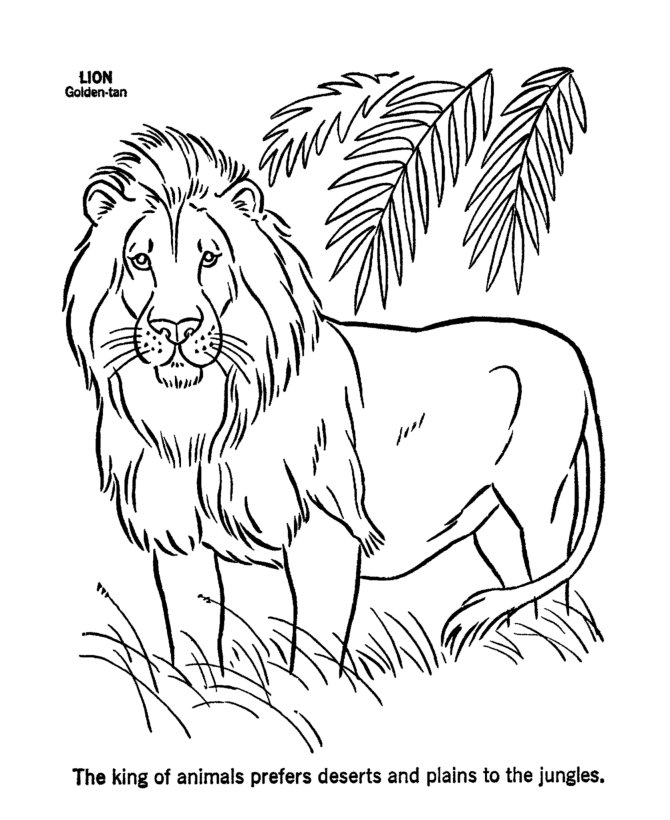 Dibujo de León de pie entre hierba alta y hojas de palma para colorear Dibujo de León de pie entre hierba alta y hojas de palma para colorear