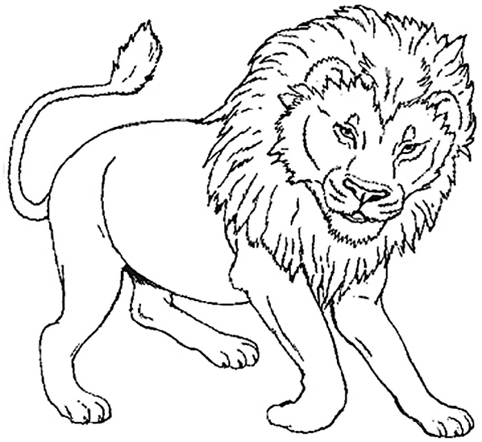 Dibujo de León caminando con una espesa melena para colorear