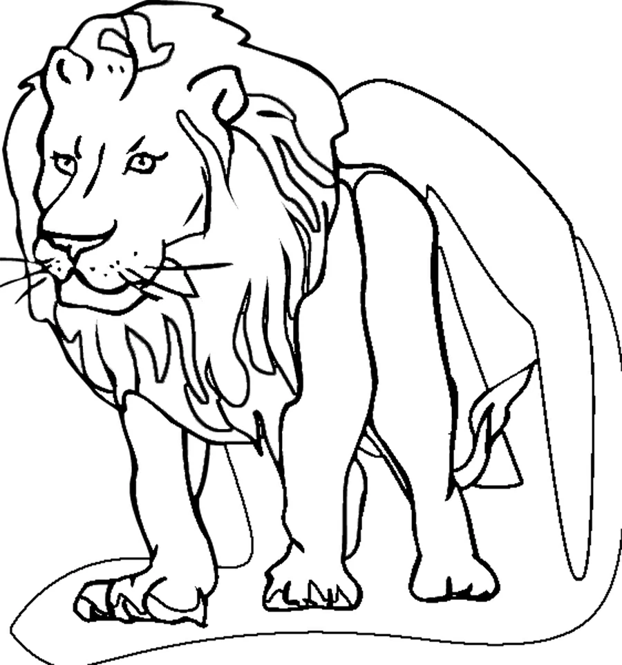 Dibujo de León de pie con una gran melena para colorear Dibujo de León de pie con una gran melena para colorear