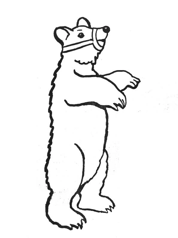 Dibujo de Oso de pie con los brazos cruzados para colorear Dibujo de Oso de pie con los brazos cruzados para colorear