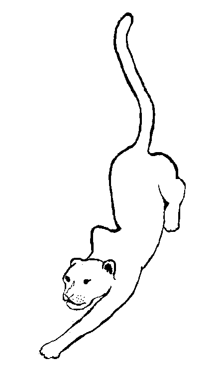 Dibujo de Pantera agazapada en posición de acecho para colorear