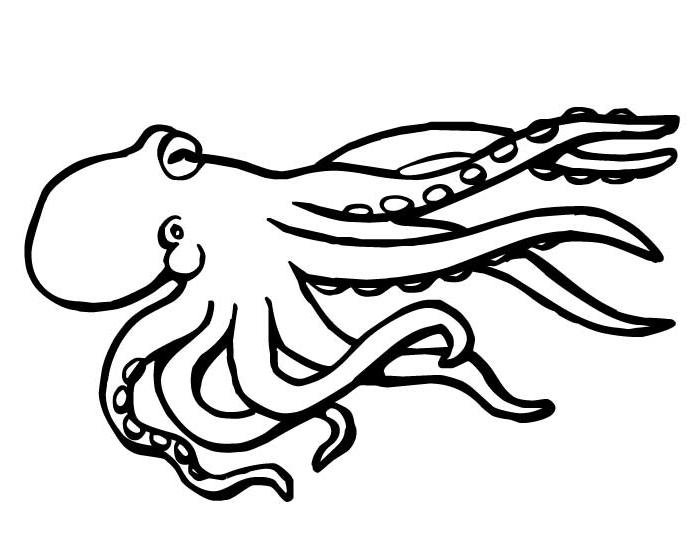 Dibujo de Pulpo nadando con los tentáculos extendidos para colorear