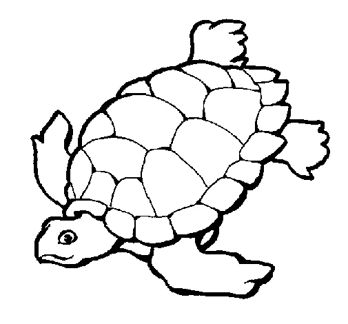 Dibujo de Tortuga nadando con sus aletas extendidas para colorear