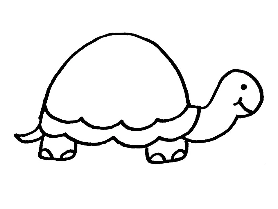 Dibujo de Tortuga caminando despacio para colorear