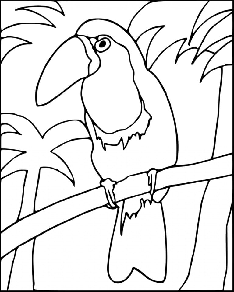 Dibujo de Tucán entre hojas tropicales y palmeras para colorear