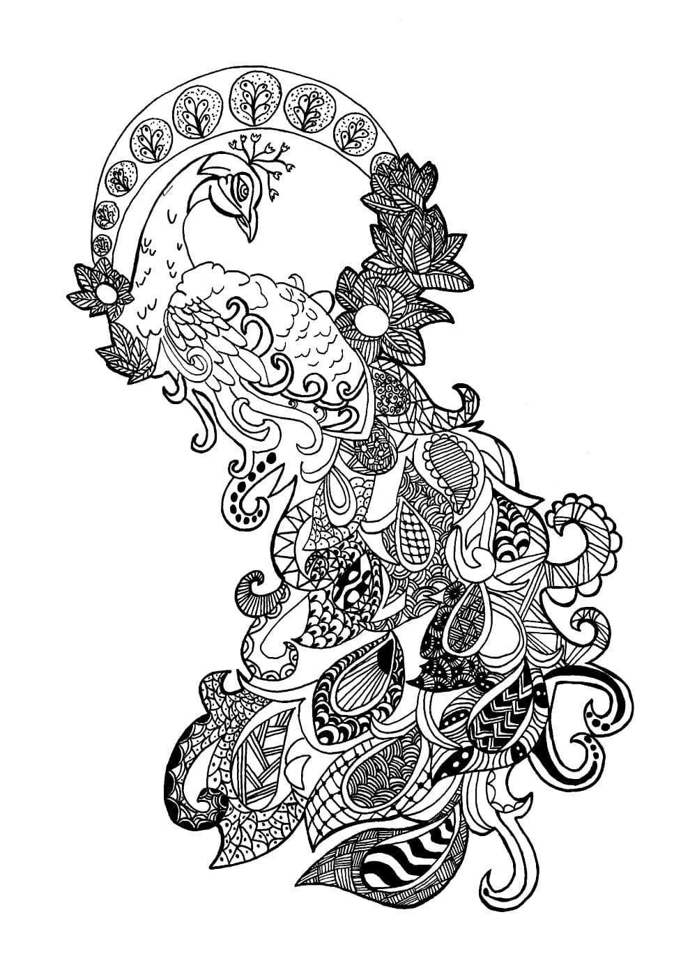 Dibujo de Pavo real zentangle con plumas decoradas para colorear