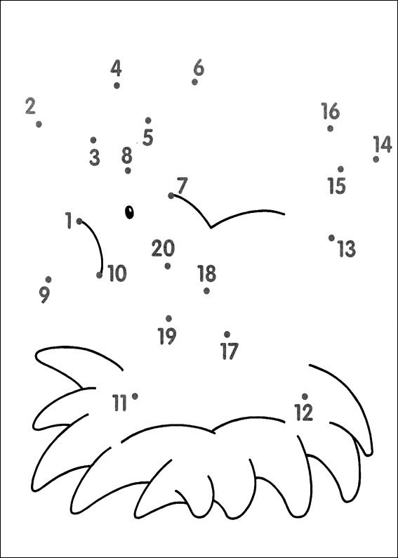 Dibujo de Pajarito en un nido puntiagudo para colorear Dibujo de Pajarito en un nido puntiagudo para colorear