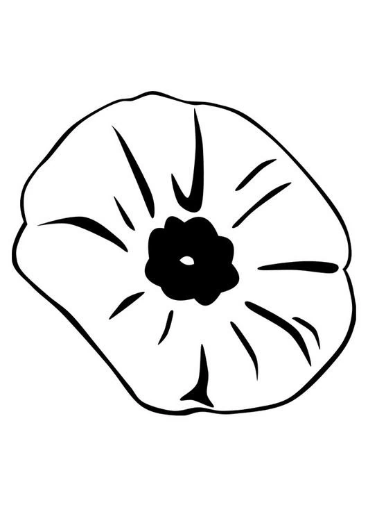 Dibujo de Amapola de pétalos redondeados para colorear Dibujo de Amapola de pétalos redondeados para colorear