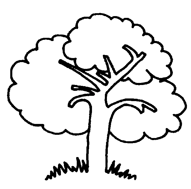 Dibujo de Árbol con copa redondeada para colorear Dibujo de Árbol con copa redondeada para colorear