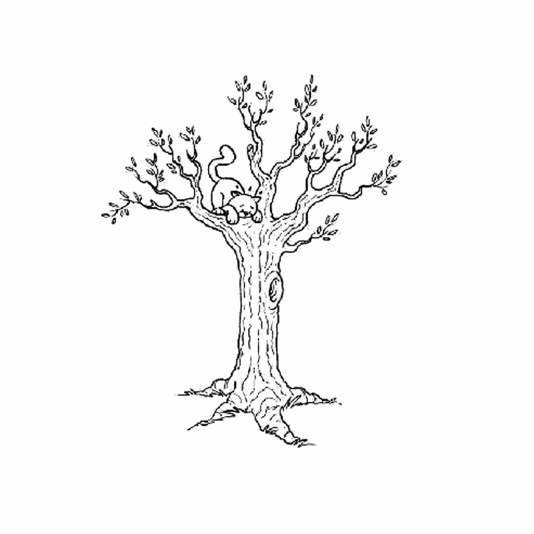 Dibujo de Árbol con un gato tumbado en una rama para colorear Dibujo de Árbol con un gato tumbado en una rama para colorear