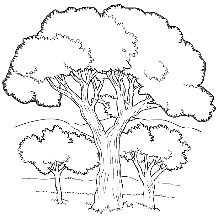 Dibujo de Árbol grande junto a dos árboles pequeños en un paisaje para colorear