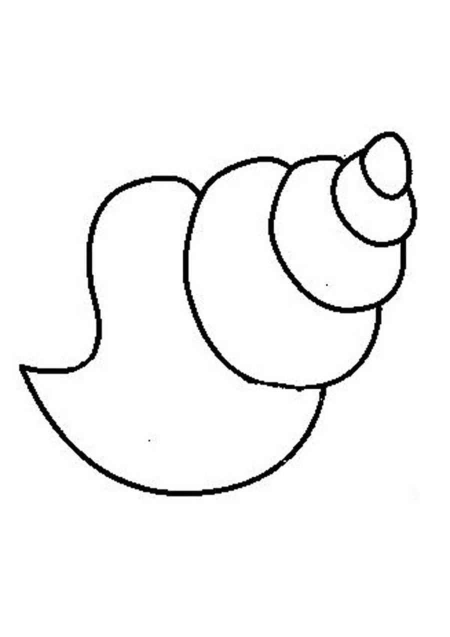Dibujo de Concha en espiral para colorear Dibujo de Concha en espiral para colorear