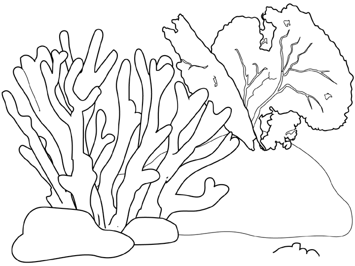Dibujo de Ramas de coral en el fondo marino para colorear