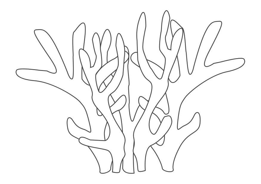 Dibujo de Coral con ramas entrelazadas para colorear