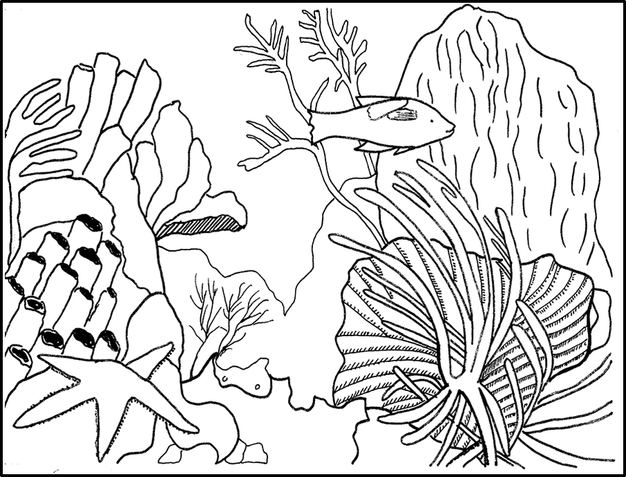 Dibujo de Coral escena de arrecife con pez y estrella de mar para colorear