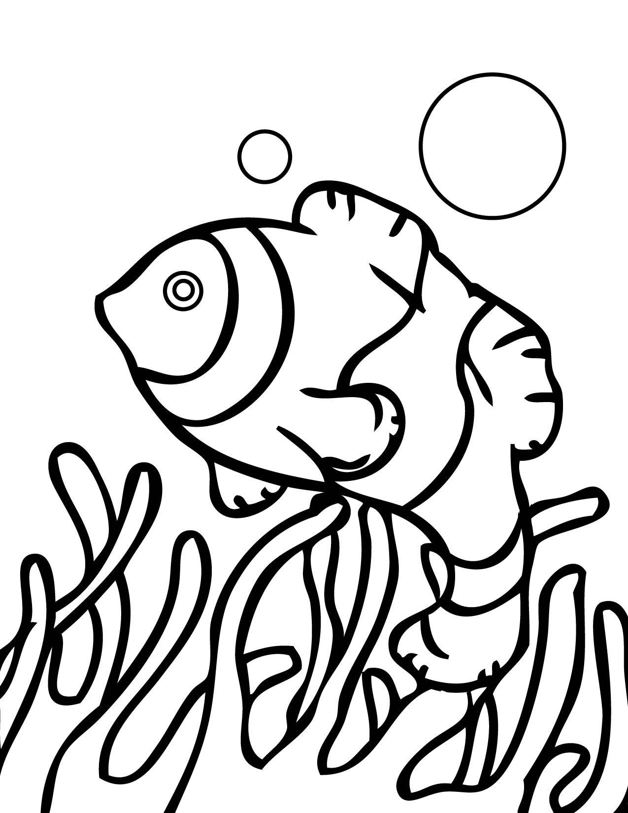 Dibujo de Pez payaso nadando sobre el coral para colorear