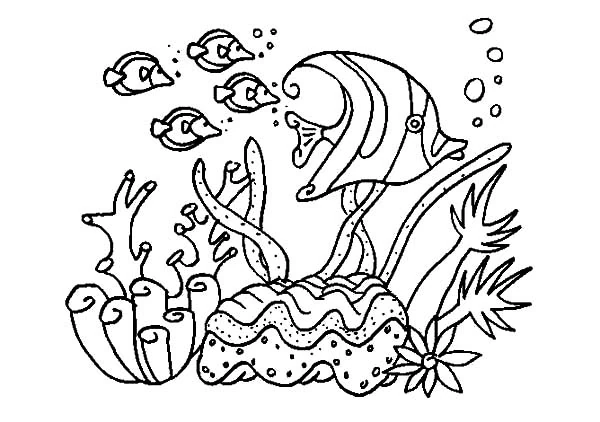 Dibujo de Coral con un grupo de peces en el arrecife para colorear