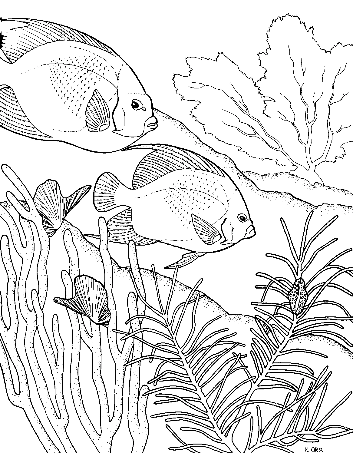 Dibujo de Dos peces nadando sobre un coral para colorear Dibujo de Dos peces nadando sobre un coral para colorear