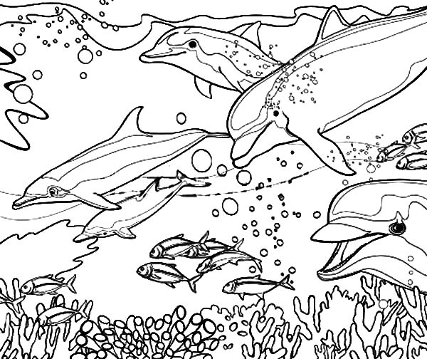 Dibujo de Coral con delfines nadando encima para colorear