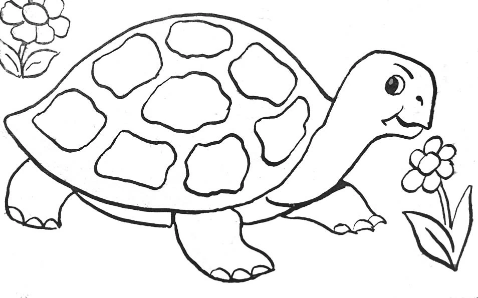 Dibujo de Tortuga caminando entre flores para colorear