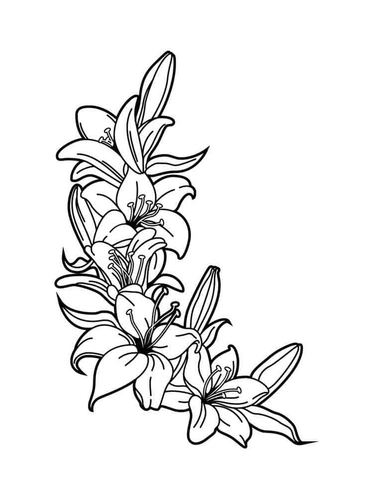 Dibujo de Rama de lirios en flor para colorear