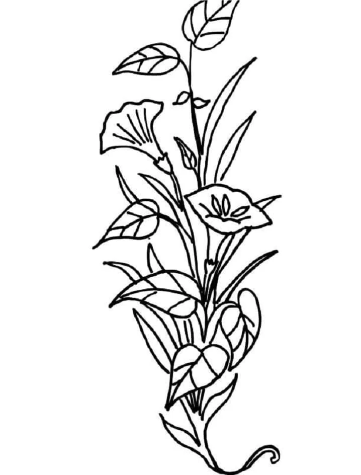 Dibujo de Flores tipo lirio sobre un tallo curvado para colorear Dibujo de Flores tipo lirio sobre un tallo curvado para colorear