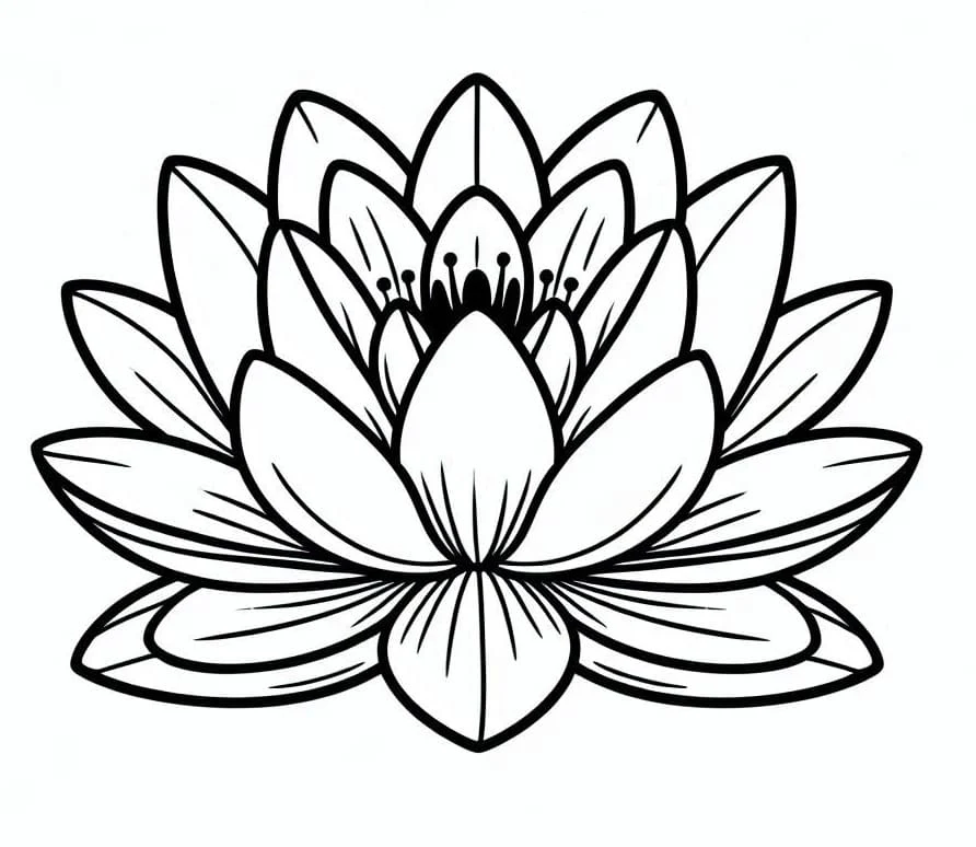 Dibujo de Nenúfar en plena floración para colorear