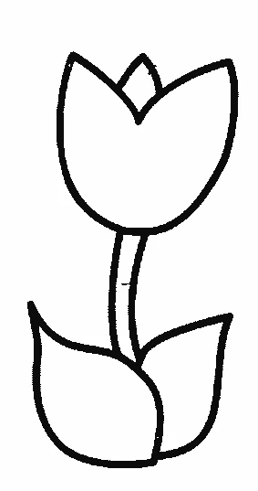 Dibujo de Tulipán con una flor y dos hojas para colorear