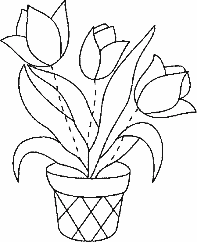 Dibujo de Tulipanes en una maceta para colorear Dibujo de Tulipanes en una maceta para colorear