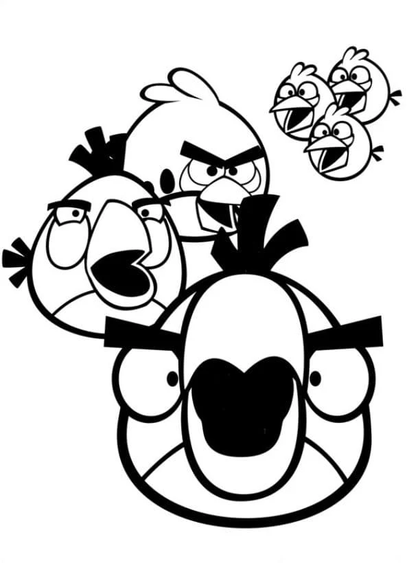 Dibujo de Angry Birds reunidos para colorear