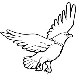 Águila - Dibujos para colorear gratis