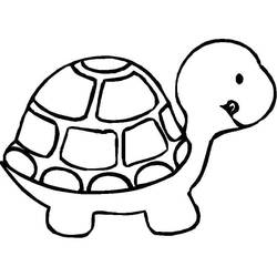 Dibujo de Bebé tortuga con caparazón redondeado para colorear