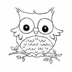 Dibujo de Bebé búho posado en una rama para colorear