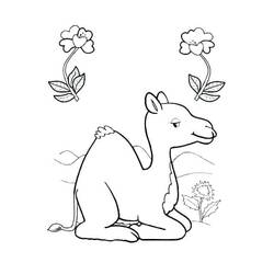 Dibujo de Bebé camello sentado en el desierto para colorear