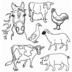 Dibujo de Animales de Granja reunidos para colorear