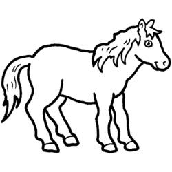 Dibujo de Caballo de pie de perfil para colorear