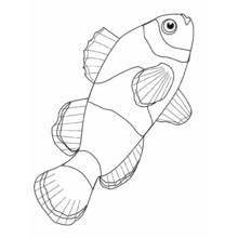 Dibujo de Pez payaso de cuerpo rayado para colorear