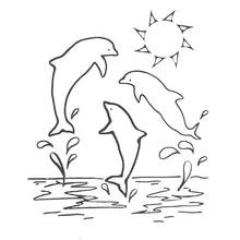 Dibujo de Delfines saltando fuera del agua para colorear