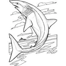 Dibujo de Tiburón saltando fuera del agua cerca de un barco pesquero para colorear