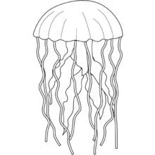 Dibujo de Medusa con largos tentáculos ondulantes para colorear