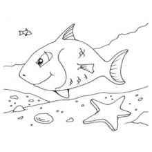 Dibujo de Pez grande nadando cerca del fondo marino para colorear