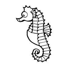 Dibujo de Caballito de mar con cola enrollada para colorear